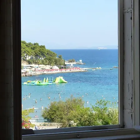 Bacvice *