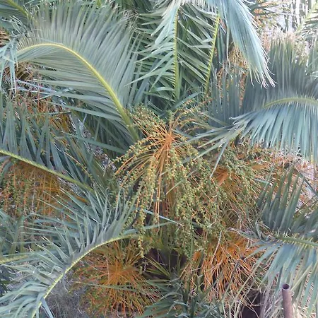 Bacvice Lejlighed Split