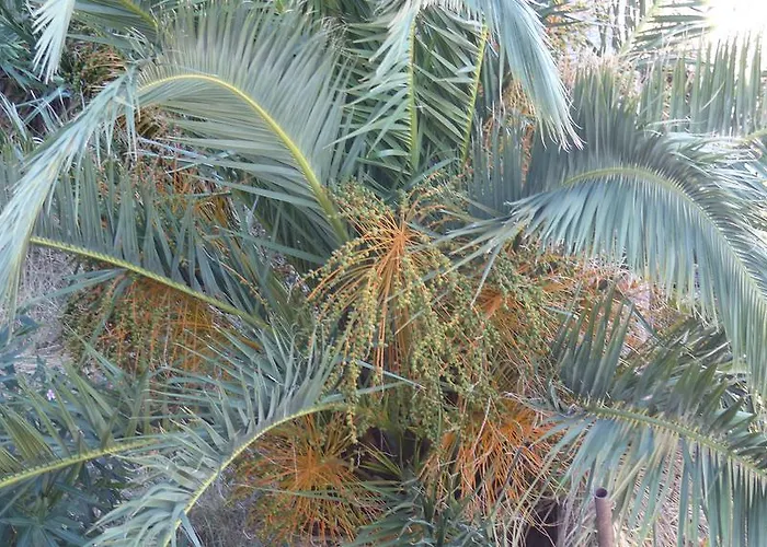 Bacvice Apartamento Split